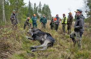 Foto: Jan Henricson