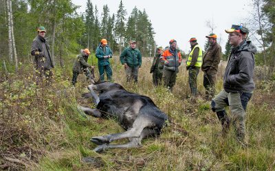 Foto: Jan Henricson