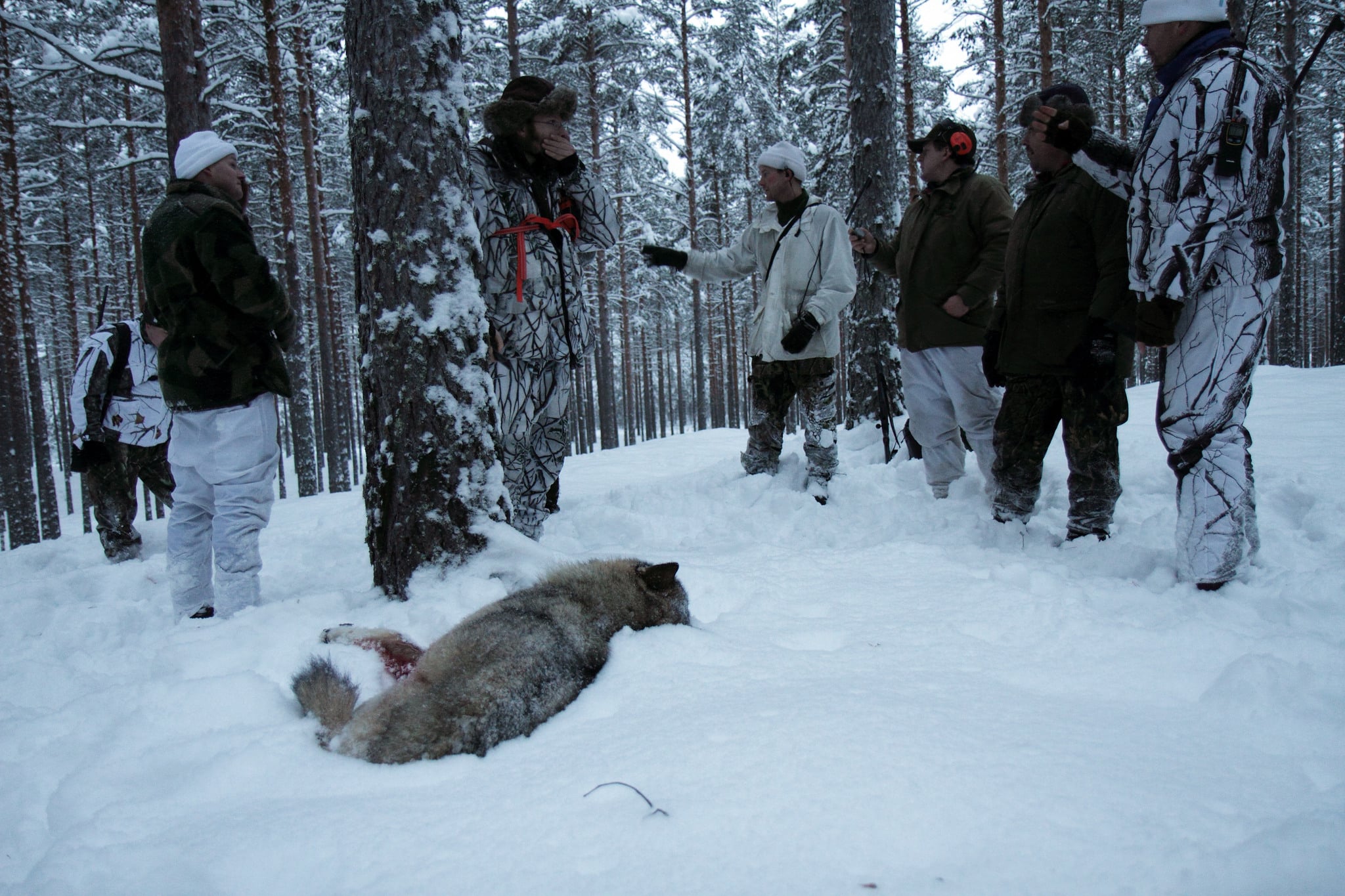 Högsta förvaltningsdomstolen kan ha ett utlåtande redan innan jul. Foto: Olle Olsson