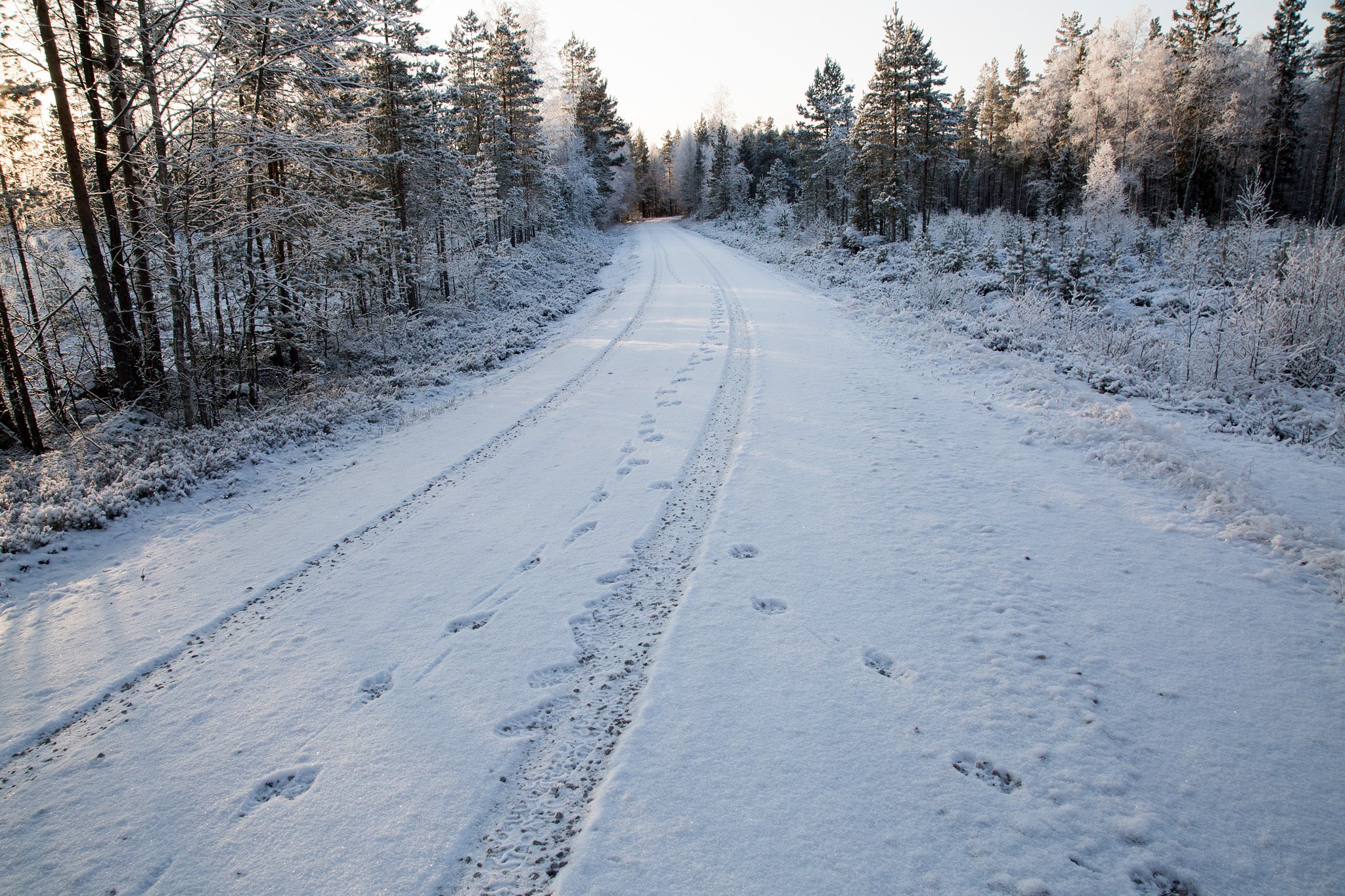 Svenska <a href=