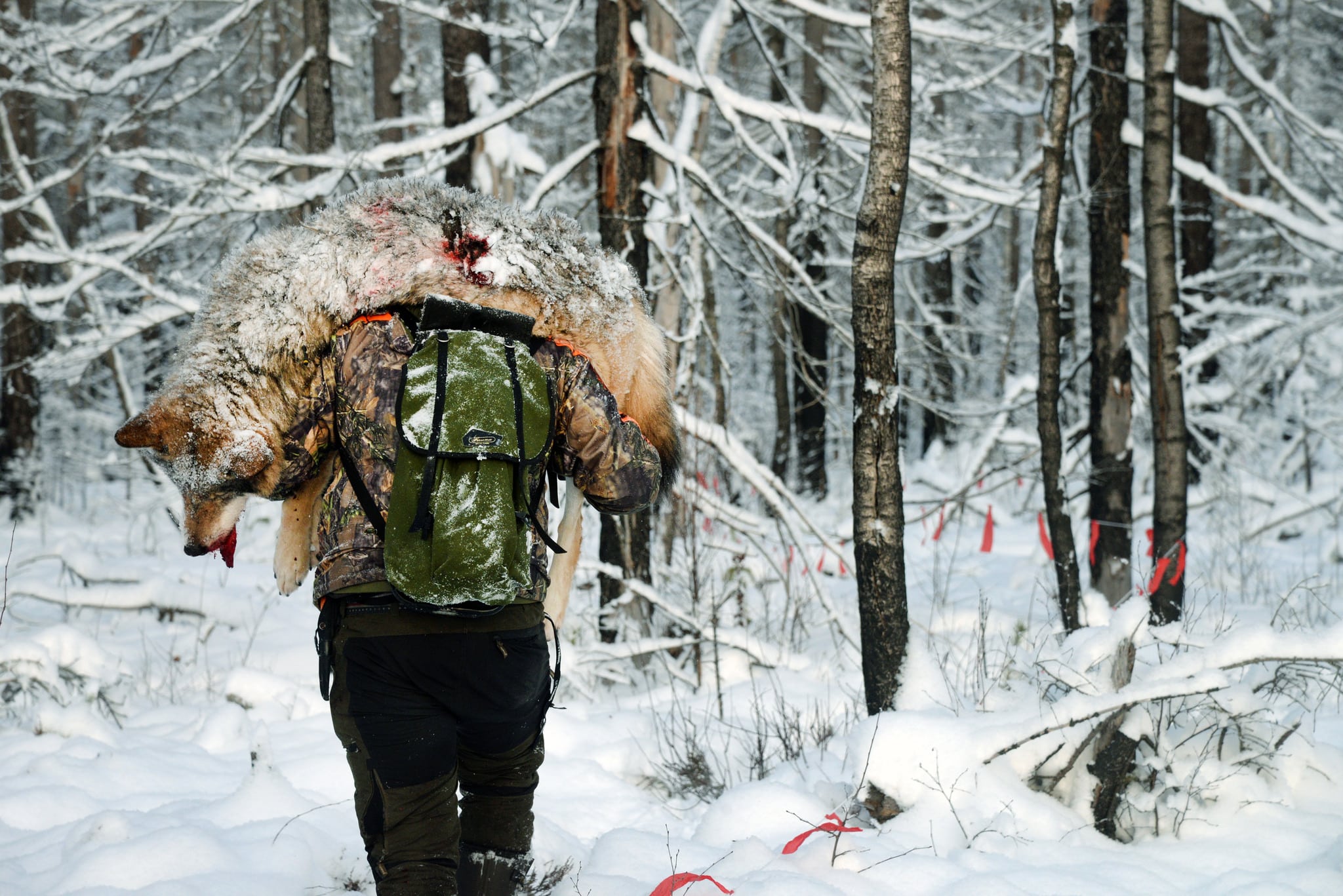Foto: Lars-Henrik Andersson