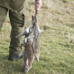 Rabbisjakt_5