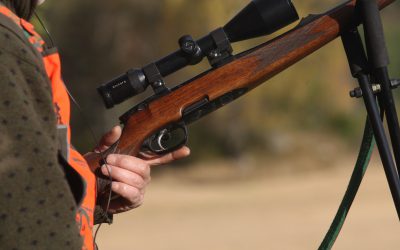 Polismyndigheten i Gävleborg tvingas nu lämna tillbaks vapen till en jägare från Ovanåkers kommun.