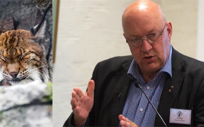Ulf Berg efterlyser tydligare direktiv i de regleringsbrev som går ut till landets myndigheter. Foto: Mostphotos (lodjur) samt Lars Nilsson (Ulf Berg)