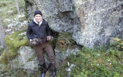 Johan Holmgren, 16 år, visar stolt upp de två fullpälsade mårdar han fångat under Gillerstenen. Foto: Bernt Karlsson