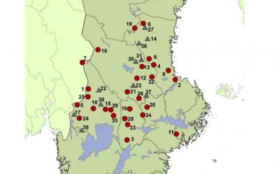 Figuren visar säkrade vargrevir den 30 januari. Familjegrupper (prick) och revirmarkerande par (triangel). Källa: Viltskadecenter