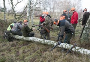 Utbildningen till jaktguide vid ForshagaAkademien får fortsätta som yrkeshögskola. Foto: Jan Henricson