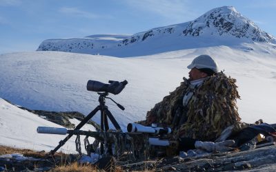 Om fokus ligger på räv snarare än på ripa kan det vara effektivt att välja en strategisk plats och vänta på en rävobs snarare än att skida runt och locka på måfå.