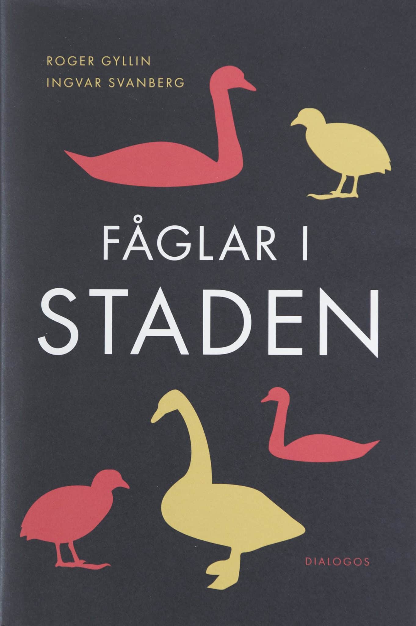 Fåglar i staden.