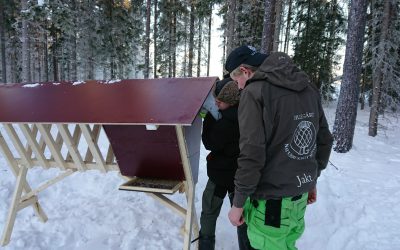 En utfodringsplats för rådjur ställs i ordning.