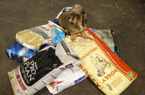 Även ett billigt foder kan innehålla allt hunden behöver, men råvarorna kostar mindre att använda än de som finns i de dyrare märkena.