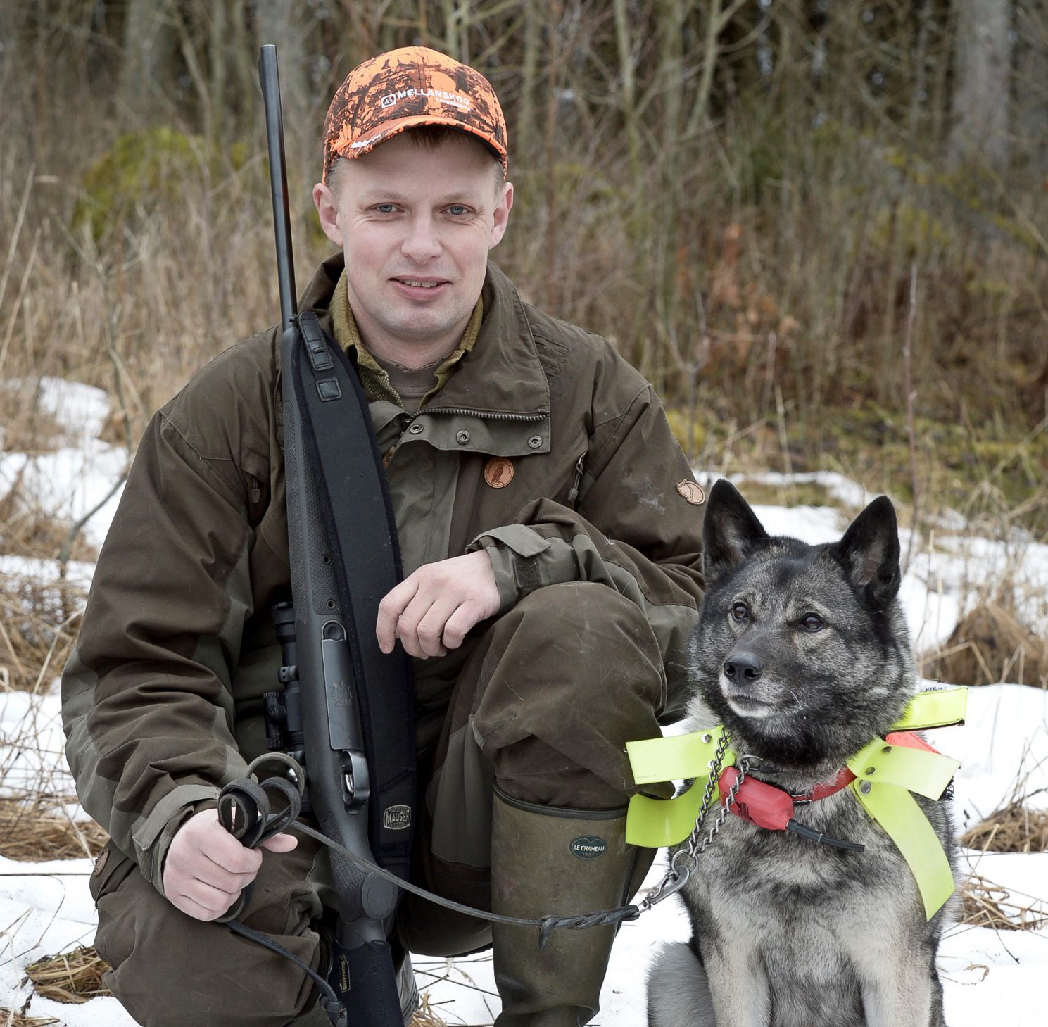 Björn Eek, jakthundansvarig i Svenska Kennelklubben fick sin jaktchampion Dalsjöns Minna skadad i ett hundslagsmål. Motpartens försäkringsbolag hävdar att han tog en medveten risk när han släppte hunden under älgjakt. Foto: privat