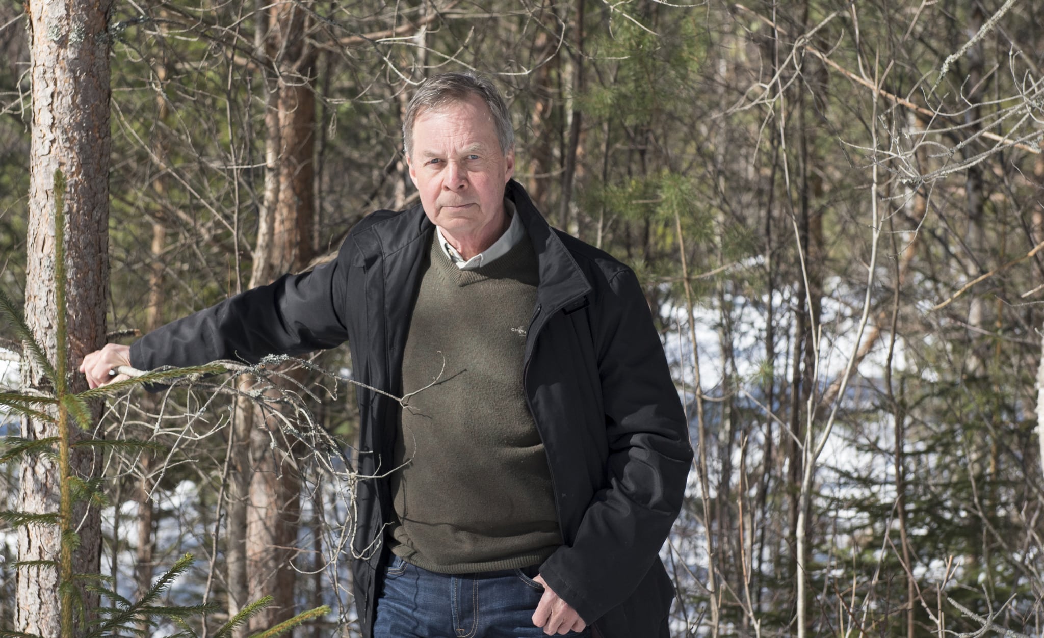 Efter att vetenskapligt ha undersökt vilka kostnader sågverk och skogsägare får idag för viltskador som uppstod för 25 år sedan drar <a href=