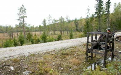Att sitta på ett älgpass är inte jakt, anser debattören som förordar jakten med löshund. Foto: Jan Henricson