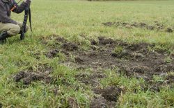 Vildsvinen har bökat upp vallen och jägaren funderar på hur han bäst ska komma till skott för att hjälpa den drabbade lantbrukaren. Sådant ska jägarna som ställer upp inte behöva betala för, anser debattören.