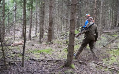 Jägarna gör stora ideella insatser, bland annat genom att utföra eftersök på trafikskadat vilt. Tacken de får från samhället är ökad byråkrati och krångel, skriver debattören.