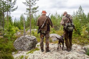 Den 21 augusti drar licensjakten på björn igång.