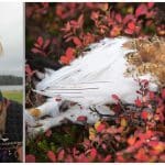 Det är som en droppe i havet att begränsa ripjakten om syftet är att få fler ripor i markerna, anser Maria Hörnell-Willebrand.