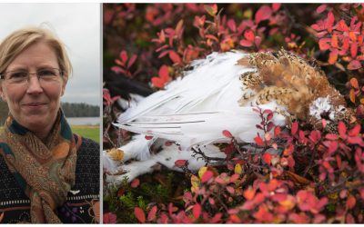 Det är som en droppe i havet att begränsa ripjakten om syftet är att få fler ripor i markerna, anser Maria Hörnell-Willebrand.
