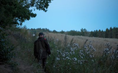 Skymningen faller snabbt och det är snart mörkt. Vildsvinsjägaren kan behöva rörlig belysning eller ett elektroniskt riktmedel för att kunna skydda grödan.