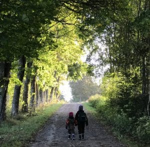 Barn på skogsväg