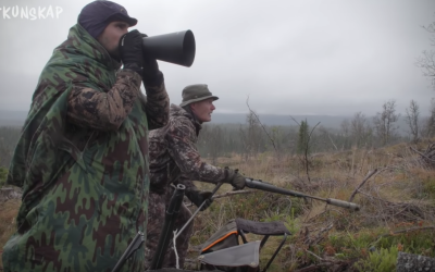 Jaktkunskap på älglock i Jämtland.