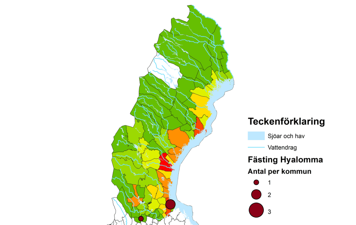Insamlingar av fästingar norr om Dalälven.