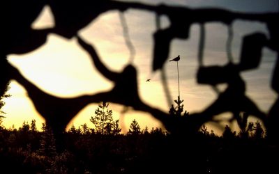Foto: Leif Lindqvist