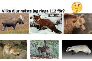 Med många bilder görs informationsmaterialet lättillgängligt för den som inte kan mycket svenska, eller som till och med inte kan läsa.