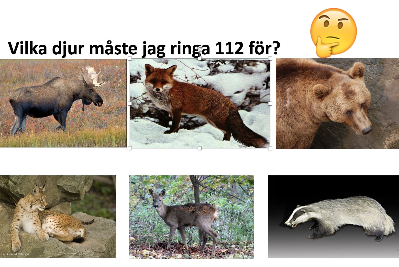 Med många bilder görs informationsmaterialet lättillgängligt för den som inte kan mycket svenska, eller som till och med inte kan läsa.