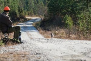 Det är inte lagligt att inom ett viltvårdsområde avlysa småviltjakt i väntan på älgjakt.