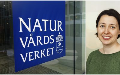 Gunilla Ewing Skotnicka, biträdande avdelningschef på Naturvårdsverket, förklarar varför verket valde att byta ut handläggaren för bågjakt. Foto: Martin Källberg & Naturvårdsverket
