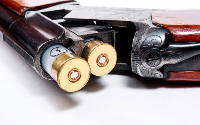 29-åringen uppgav för tingsrätten att någon stulit geväret och lagt det i bilen.