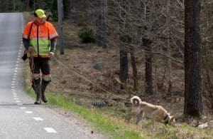 Uppdraget med trafikeftersök har inget med Jägareförbundets övriga ideella verksamhet att göra, skriver debattören.