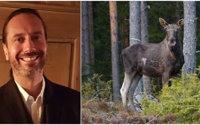 Carl-Johan Lindström, Naturvårdsverket, menar att älg orsakar omfattande skador i skog och trafik. Foto: Leif Andersson & Johnny Olsson