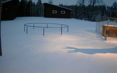 Skuggan av en älg.