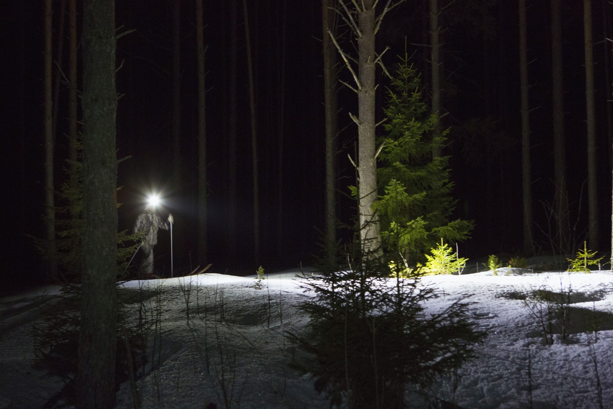 Många jägare är flitiga användare av pannlampor. Lamporna används på eftersök, men även i andra sammanhang, till exempel av jägare som ofta är kvar i skogen vid mörkrets inbrott. Foto: Ulf Lindroth