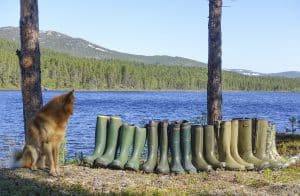 Svensk Jakt testar gummistövlar. Foto: Ulf Lindroth
