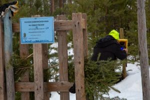 Länsstyrelsen sätter upp en viltkamera vid en av myndighetens egna kamerastationer.