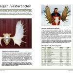V-botten_Bok_2
