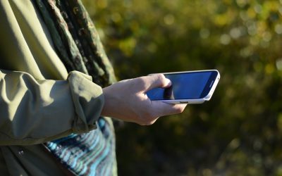 Ladda hem Svensk Jakts app och få de senaste nyheterna om jakt. Foto: Frugan / Mostphotos