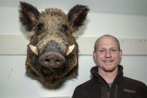 Dennis Tholander med bogmontaget av den vildsvinsgalt som fälldes i Tystberga i januari 2018.