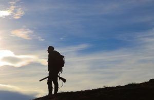 Länsstyrelsen Jämtland avlyser flera områden för småviltjakt under fågeljaktens två första månader och tvingas nu därför återbetala 179 jakttillstånd.