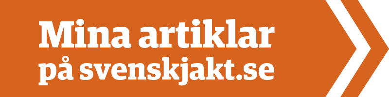 Mina artiklar