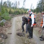 Vad gäller jakttiden på vildsvin föreslår Naturvårdsverket att jaktuppehållet tidigareläggs med två veckor.