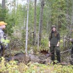 Naturvårdsverket föreslår flera förändringar för jakttiden på älg.