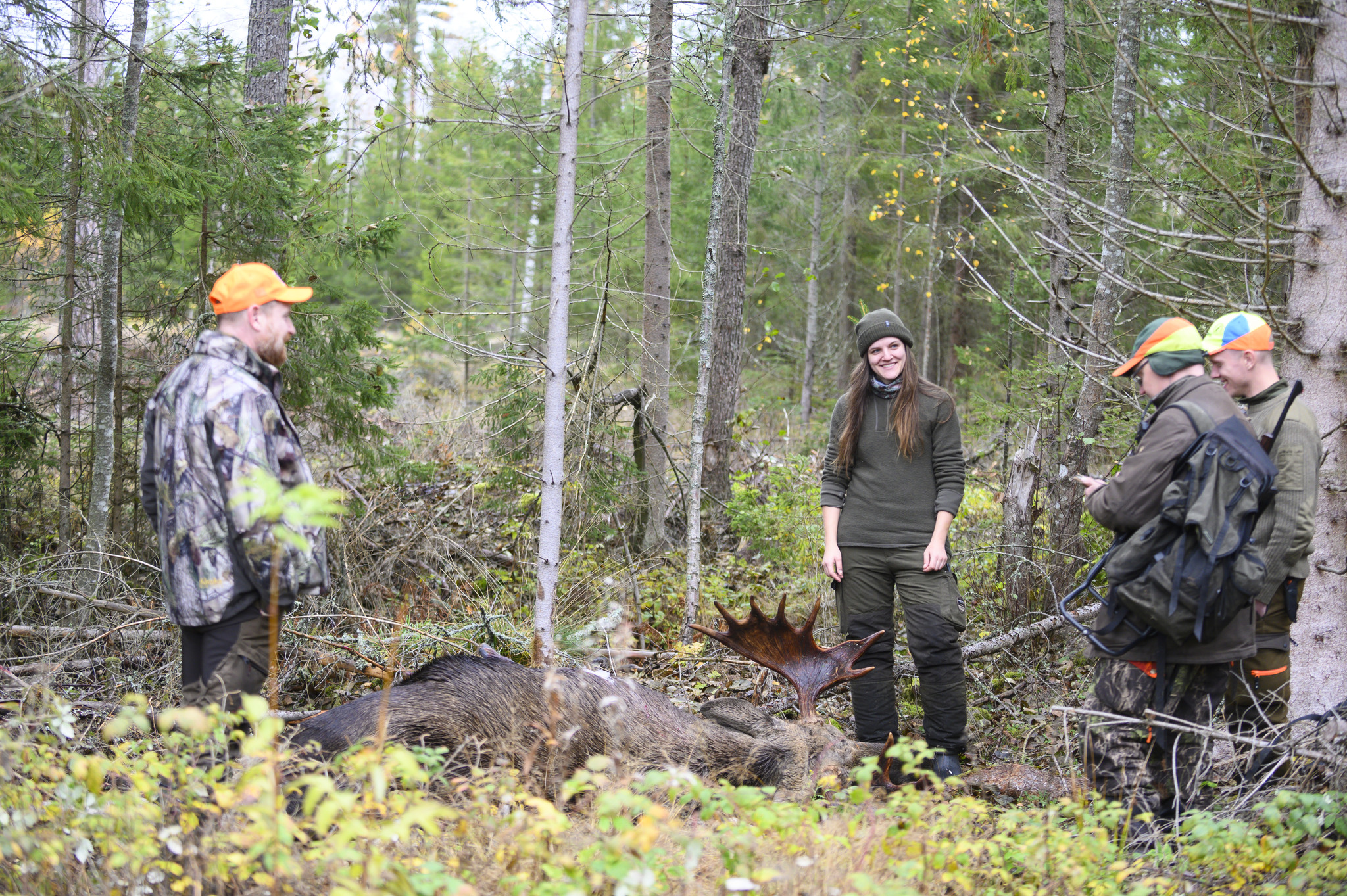 Naturvårdsverket föreslår flera förändringar för jakttiden på älg.