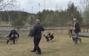 Stövare