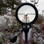 Naturvårdsverket vill ha längre jakttid på tjädertupp och orrtupp.