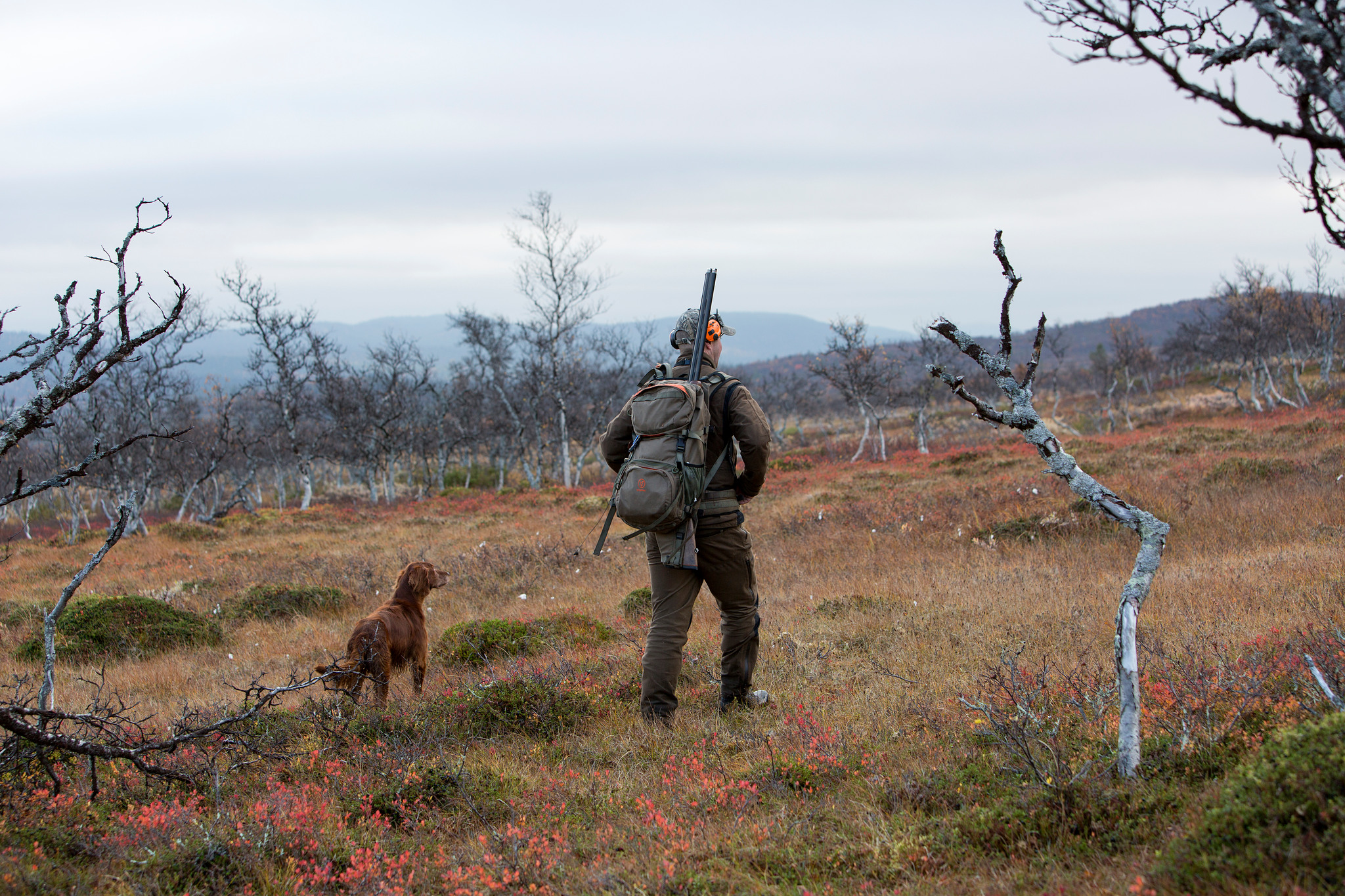 Skribenten efterlyser något ödmjukare svansföring från jägare i fjälljaktsfrågan.